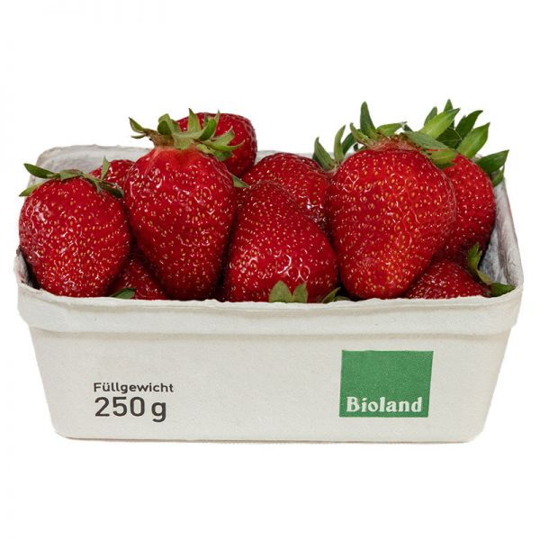 Bio-Erdbeeren, Heitmeier 500 g