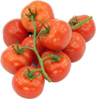 Bio-Tomaten/Italien